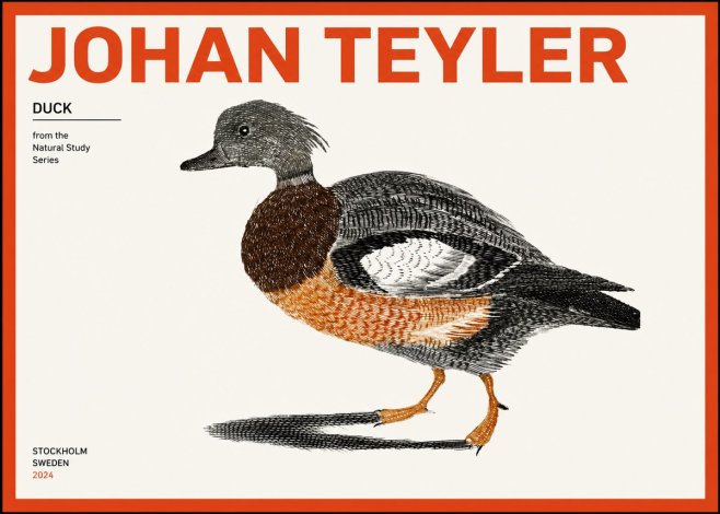 Johan Teyler Duck II No2 - Poster