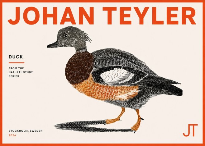 Johan Teyler Duck II No5 - Poster