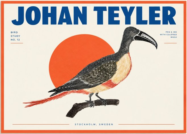 Johan Teyler Bird Study No. 12 - Original Drawing No2 - Poster