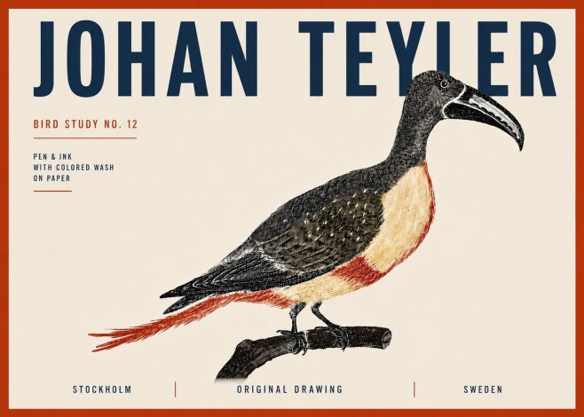 Johan Teyler Bird Study No. 12 - Original Drawing No6 - Poster