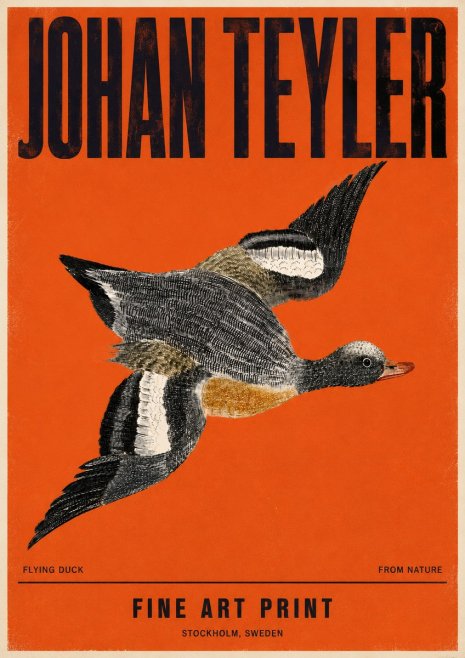 Johan Teyler Flying Duck No4 - Poster