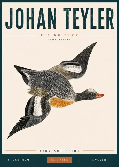 Johan Teyler Flying Duck No6 - Poster