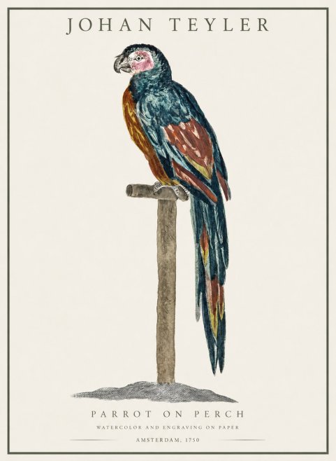 Johan Teyler Parrot on Perch No1 - Poster