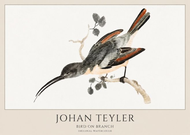 Johan Teyler Bird on Branch II No1 - Poster