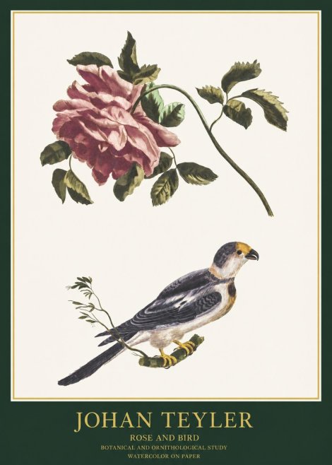Johan Teyler Rose and Bird I No1 - Poster
