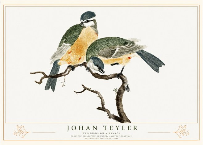 Johan Teyler Two Birds on a Branch No2 - Poster