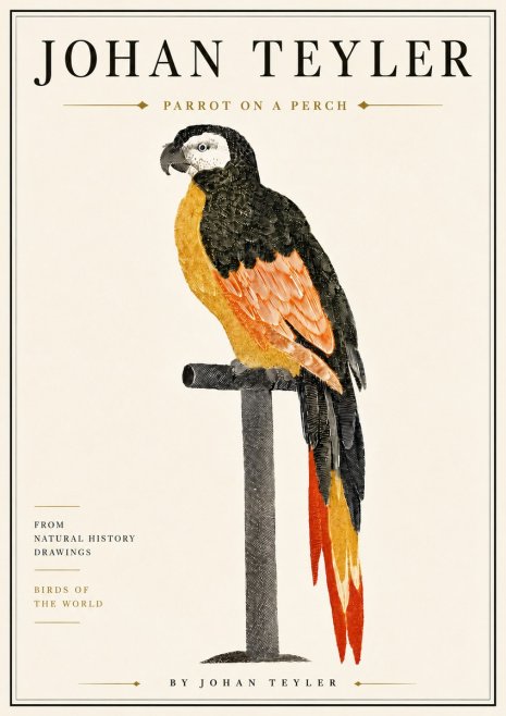 Johan Teyler Parrot on a Perch No6 - Poster