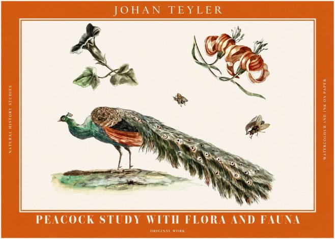 Johan Teyler Peacock Study with Flora and Fauna No2 - Poster