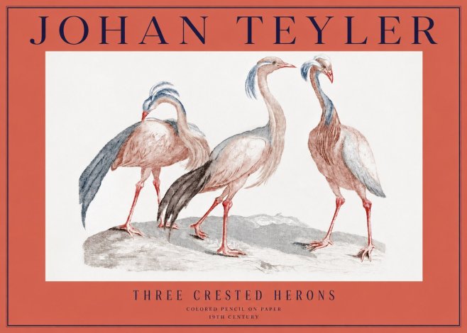 Johan Teyler Three Crested Herons No2 - Poster