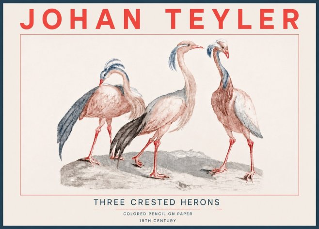 Johan Teyler Three Crested Herons No4 - Poster
