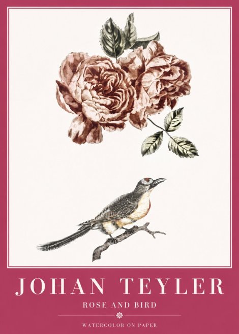 Johan Teyler Rose and Bird II No2 - Poster