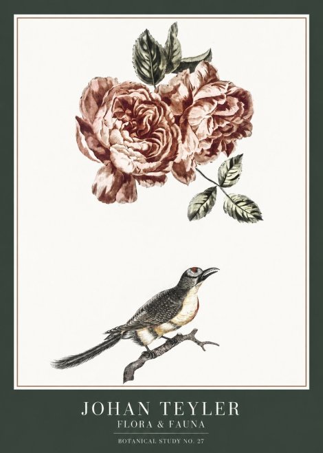 Johan Teyler Rose and Bird II No6 - Poster