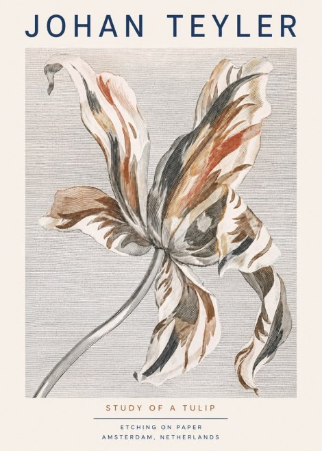 Johan Teyler Study of a Tulip No3 - Poster