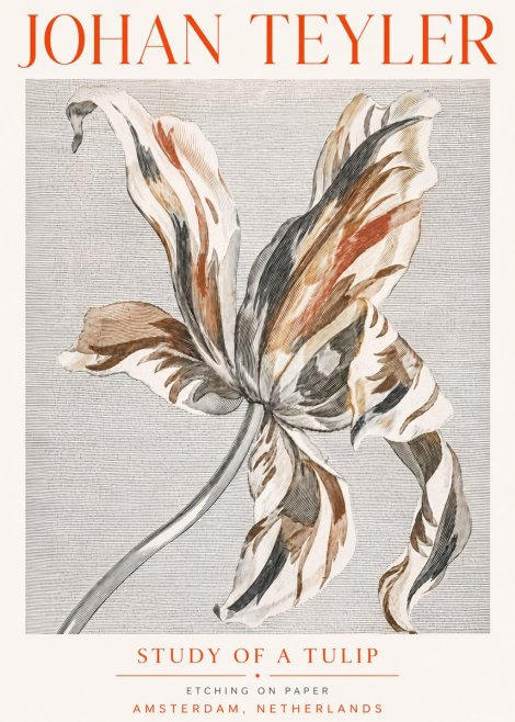 Johan Teyler Study of a Tulip No5 - Poster