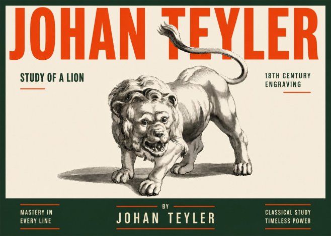 Johan Teyler Study of a Lion No2 - Poster