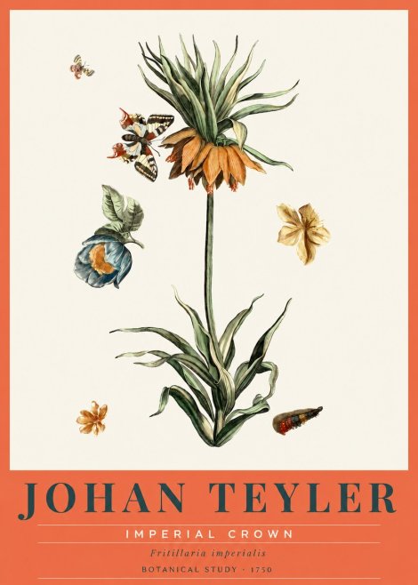 Johan Teyler Crown Imperial No3 - Poster