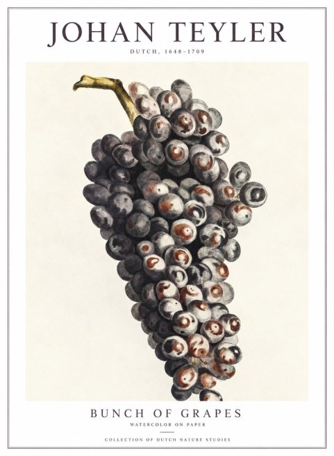 Johan Teyler Bunch of Grapes No1 - Poster