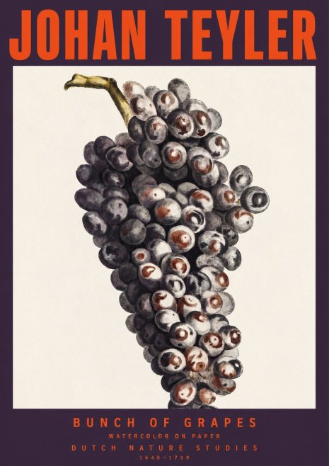 Johan Teyler Bunch of Grapes No2 - Poster