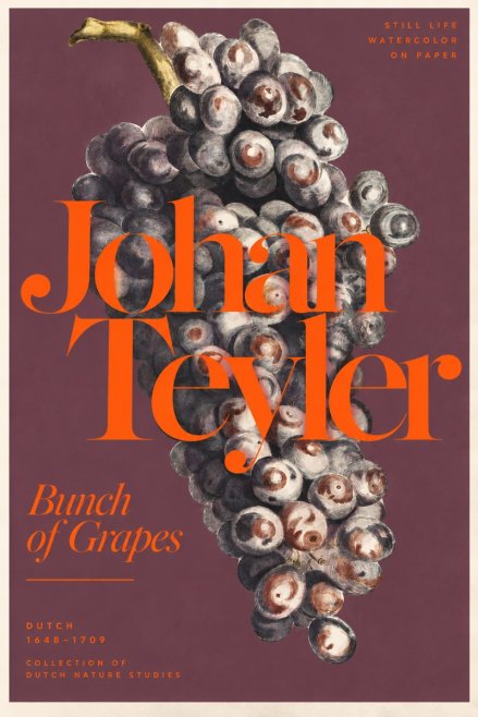 Johan Teyler Bunch of Grapes No3 - Poster