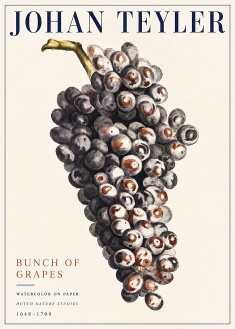 Johan Teyler Bunch of Grapes No5 - Poster