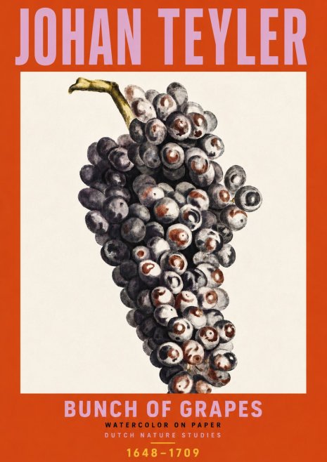Johan Teyler Bunch of Grapes No6 - Poster