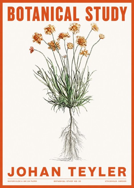 Johan Teyler Botanical Study No. 01 No2 - Poster