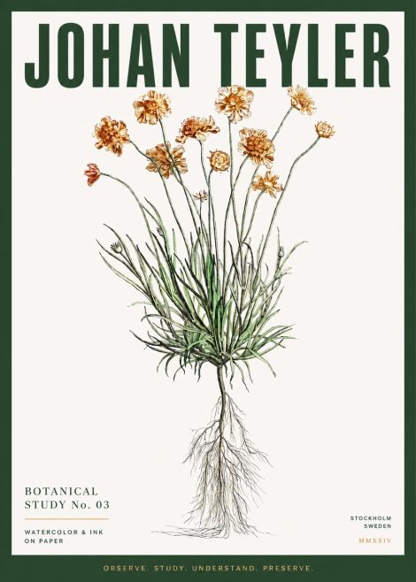 Johan Teyler Botanical Study No. 01 No3 - Poster