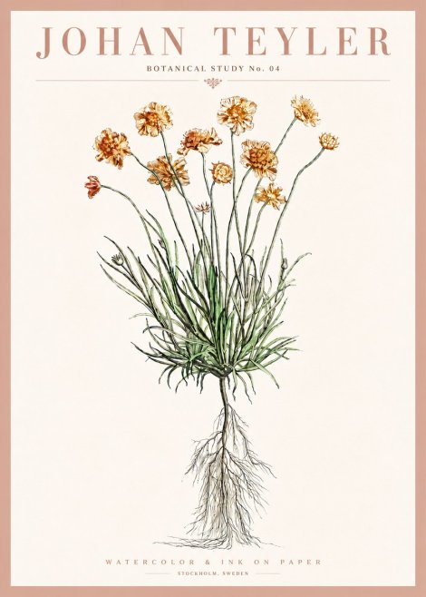 Johan Teyler Botanical Study No. 01 No4 - Poster