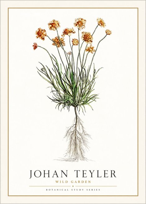 Johan Teyler Botanical Study No. 01 No6 - Poster