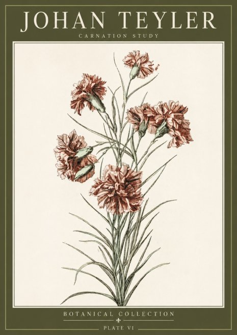 Johan Teyler Carnation Study No3 - Poster