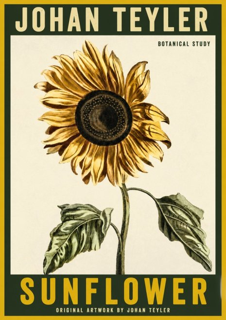 Johan Teyler Sunflower - Botanical Study No2 - Poster
