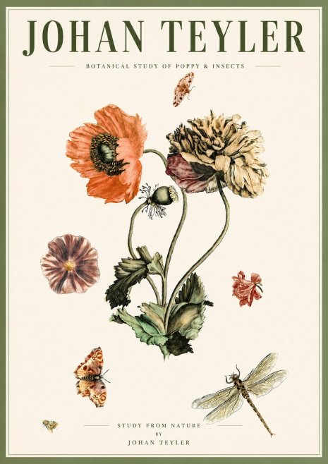 Johan Teyler Botanical Study of Poppy & Insects No5 - Poster
