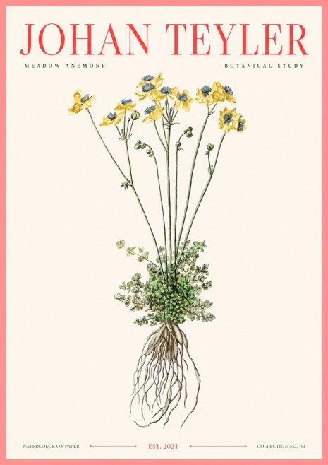Johan Teyler Meadow Anemone No3 - Poster