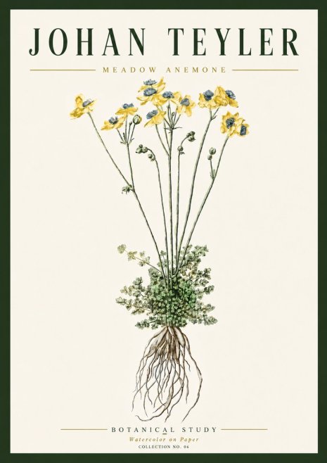 Johan Teyler Meadow Anemone No6 - Poster