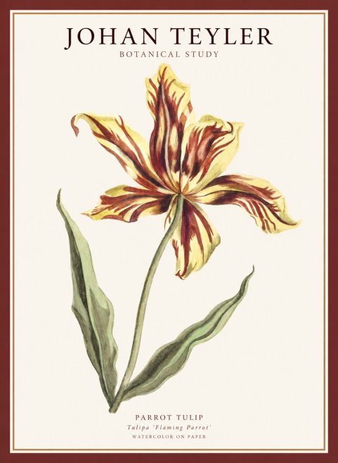 Johan Teyler Floral Study I No5 - Poster
