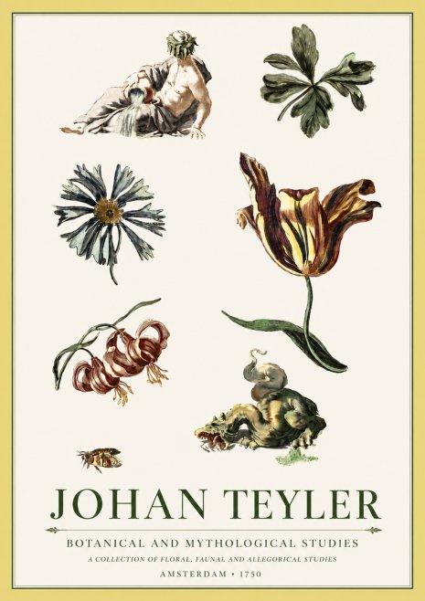 Johan Teyler Botanical and Mythological Studies No5 - Poster