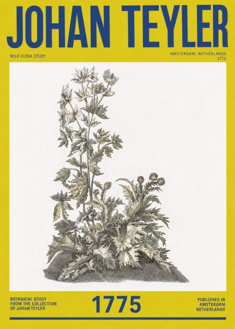 Johan Teyler Wild Flora Study No2 - Poster