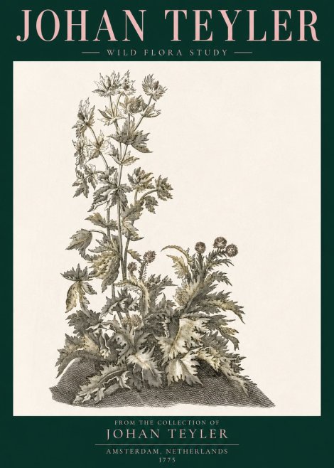 Johan Teyler Wild Flora Study No3 - Poster