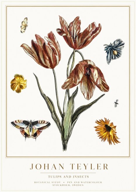 Johan Teyler Tulips and Insects No1 - Poster