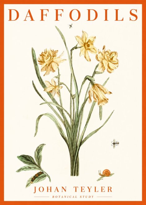 Johan Teyler Daffodils No2 - Poster