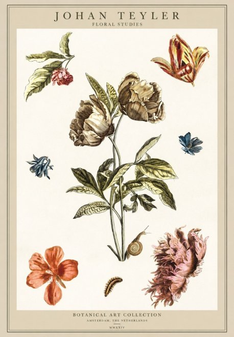 Johan Teyler Floral Studies No1 - Poster