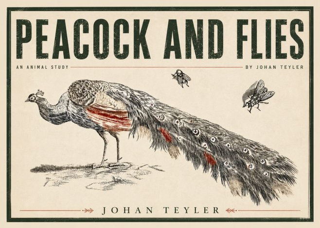 Johan Teyler Peacock and Flies - Animal Study No5 - Poster