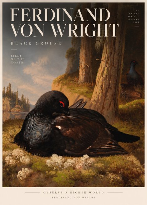 Ferdinand von Wright The Black Grouse No5 - Poster