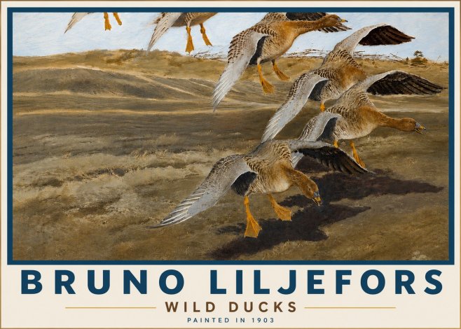 Bruno Liljefors Wild Ducks No5 - Poster