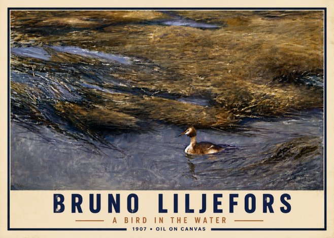 Bruno Liljefors A Bird in the Water No5 - Poster