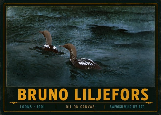 Bruno Liljefors Loons · 1901 No4 - Poster