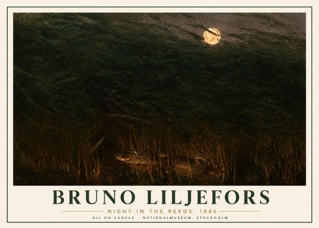 Bruno Liljefors Night in the Reeds No6 - Poster