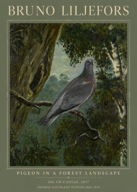 Bruno Liljefors Pigeon in a Forest Landscape No3 - Poster