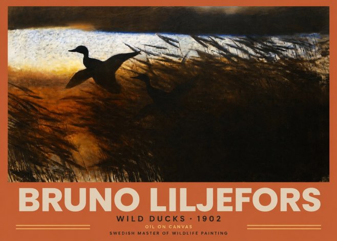 Bruno Liljefors Wild Ducks No2 - Poster