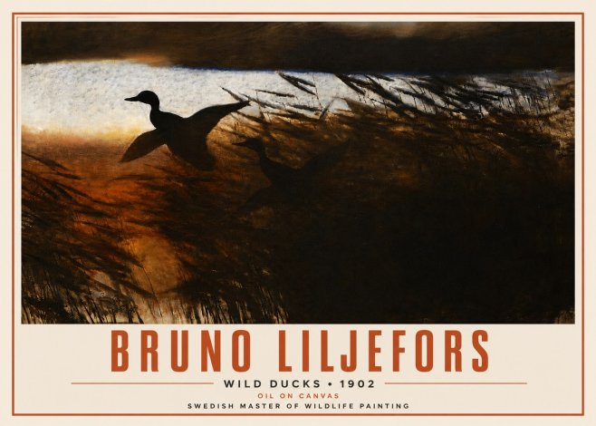 Bruno Liljefors Wild Ducks No4 - Poster